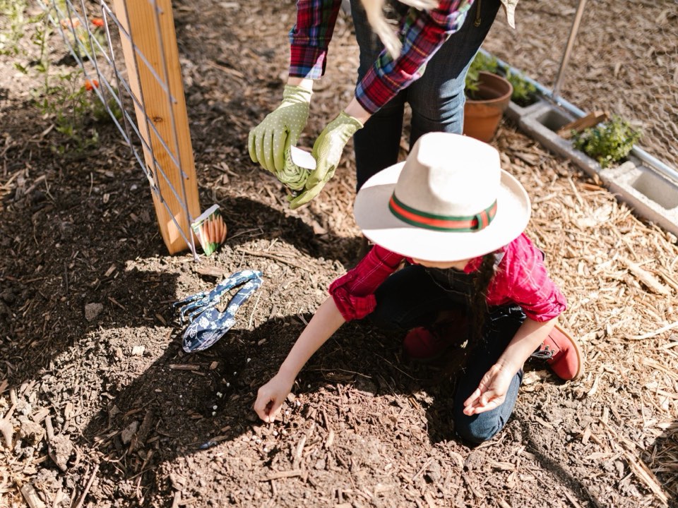 A child in a sun hat planting seeds in a garden bed